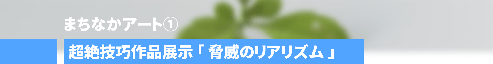 まちなかアート① 超絶技巧作品展示「脅威のリアリズム」