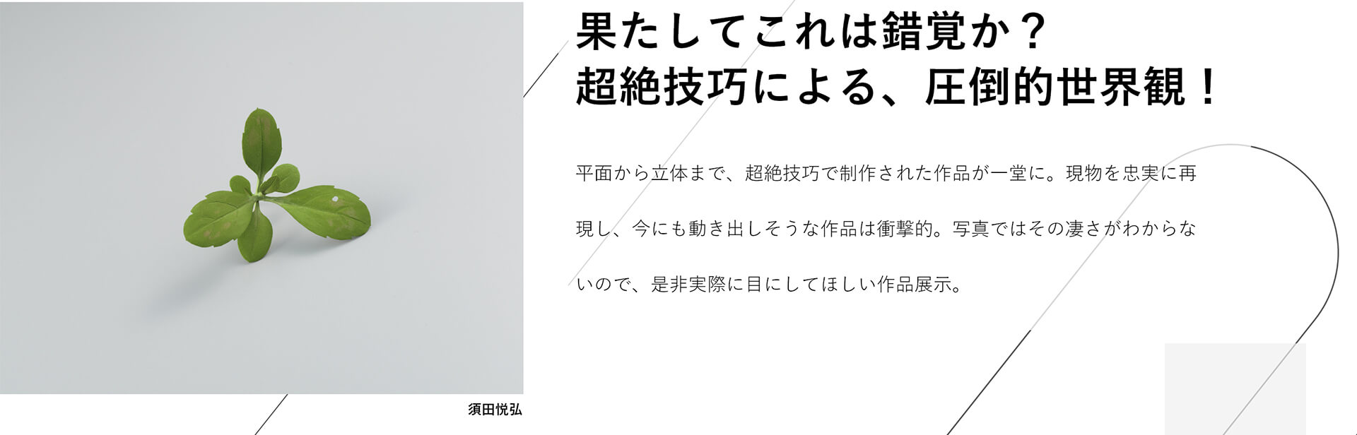 果たしてこれは錯覚か？超絶技巧による、圧倒的世界観！