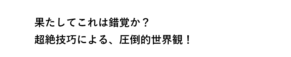 果たしてこれは錯覚か？超絶技巧による、圧倒的世界観！