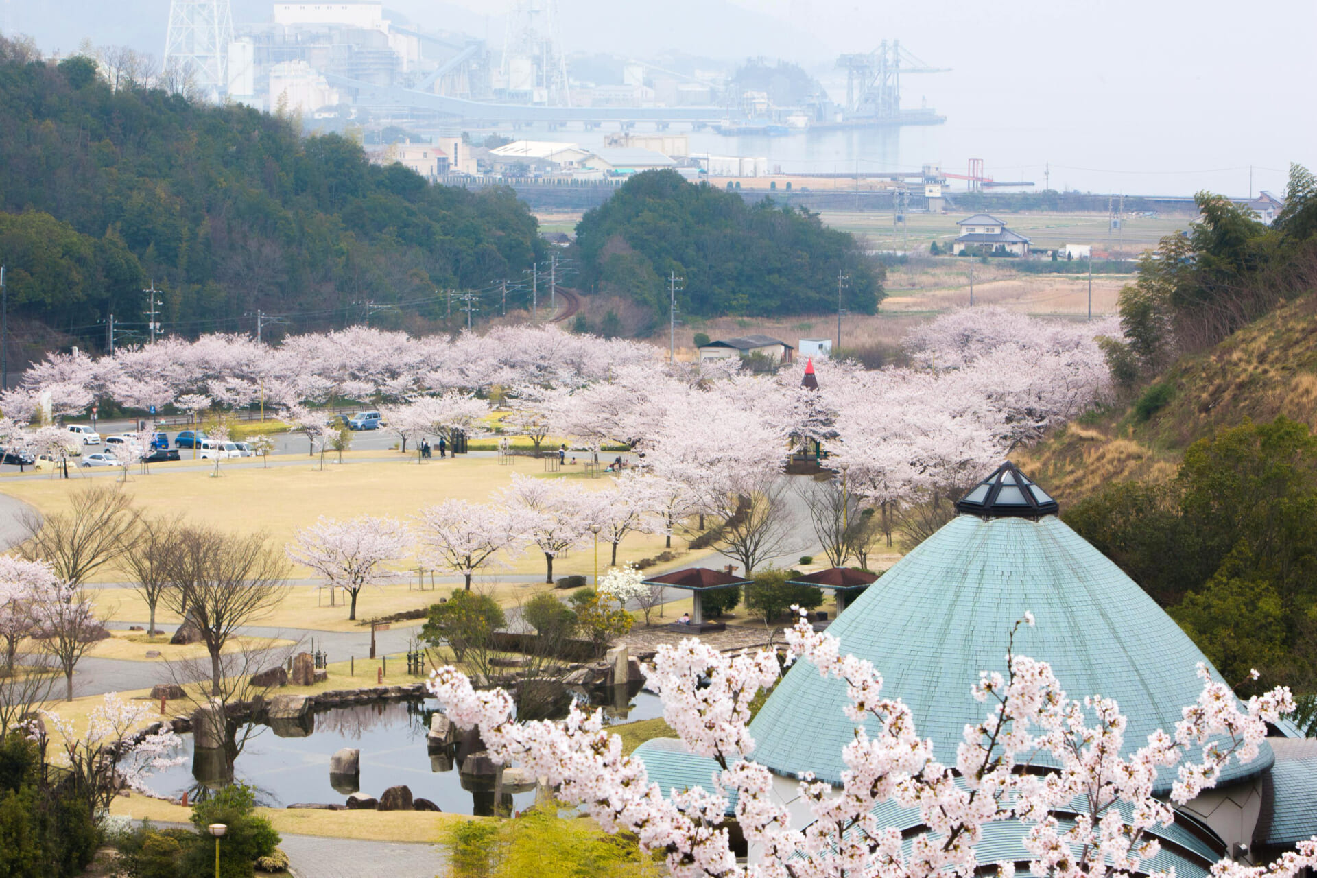 春限定 千本桜が咲き誇る名所へ 手ぶらでお花見 公式 Nipponia Hotel 竹原 製塩町 塩と酒で浜旦那暮らしをなぞる旅