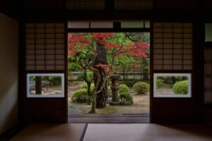 wabisabi hotel